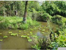 Działka rod Kielce Posłowice, ul. Leśniówka. Zdjęcie 4
