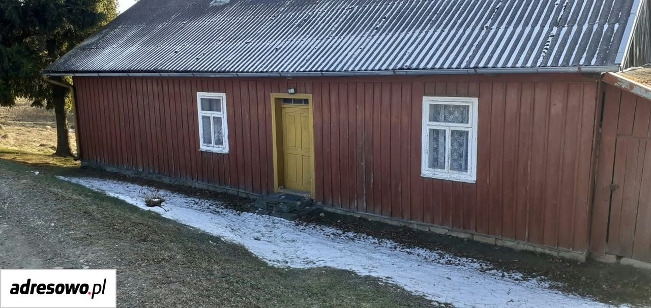 Działka rolna Jastrzębia Łazy. Zdjęcie 4
