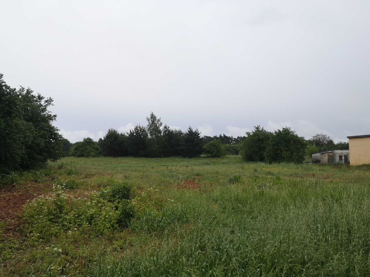 Działka inwestycyjna Gostynin. Zdjęcie 5