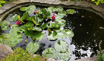 Działka rod Szczaki