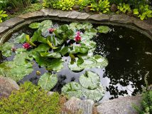 Działka rod Szczaki. Zdjęcie 1