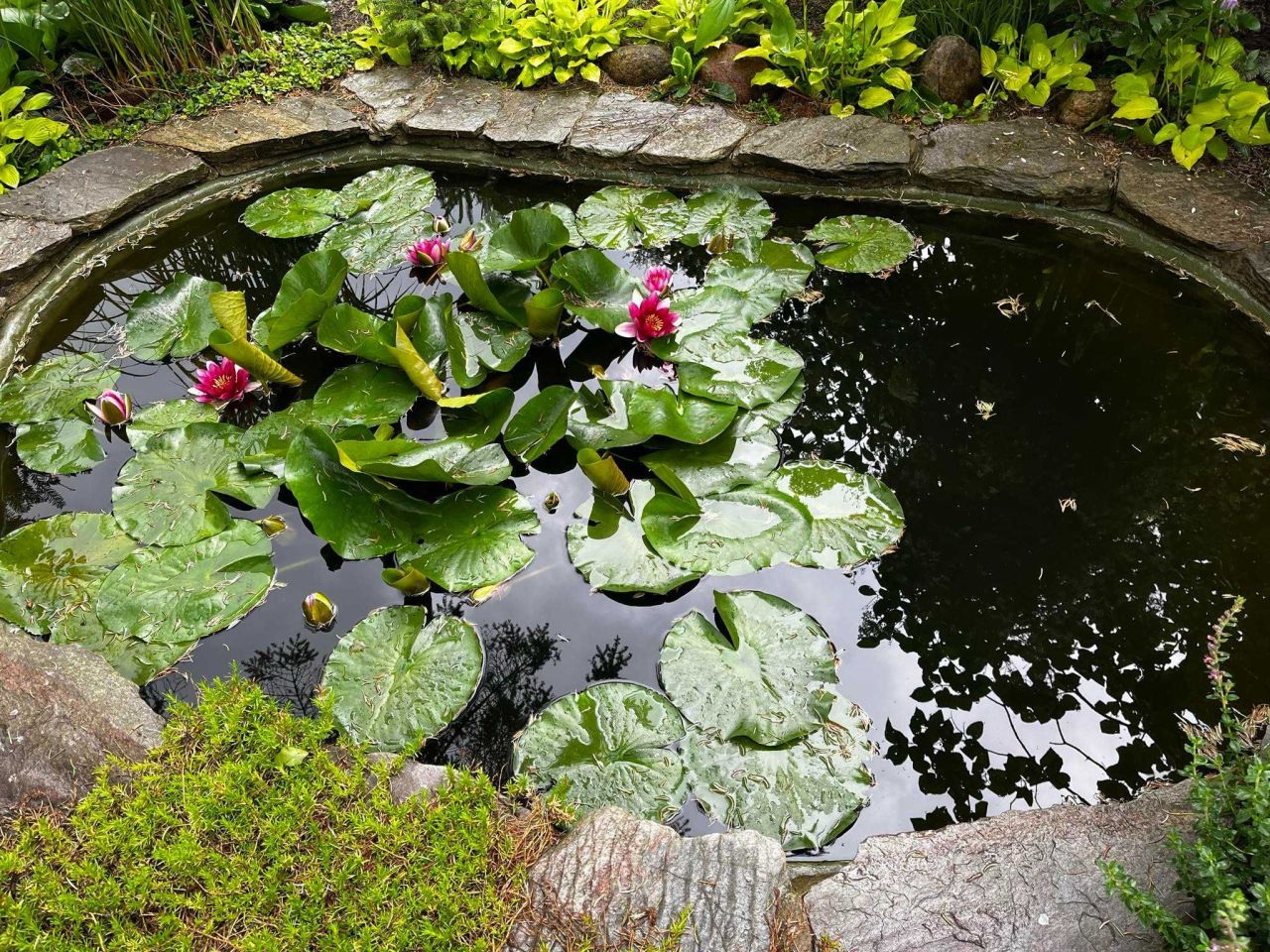 Działka rod Szczaki. Zdjęcie 2