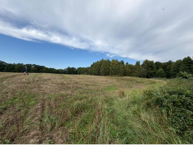 Działka rolna Śmilcz, ul. 1000-lecia / boczna. Zdjęcie 3