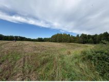 Działka rolna Śmilcz. Zdjęcie 2