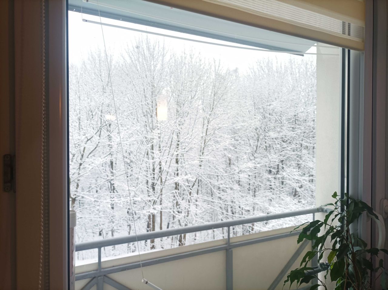 Mieszkanie 4-pokojowe Jastrzębie-Zdrój, ul. Katowicka. Zdjęcie 2