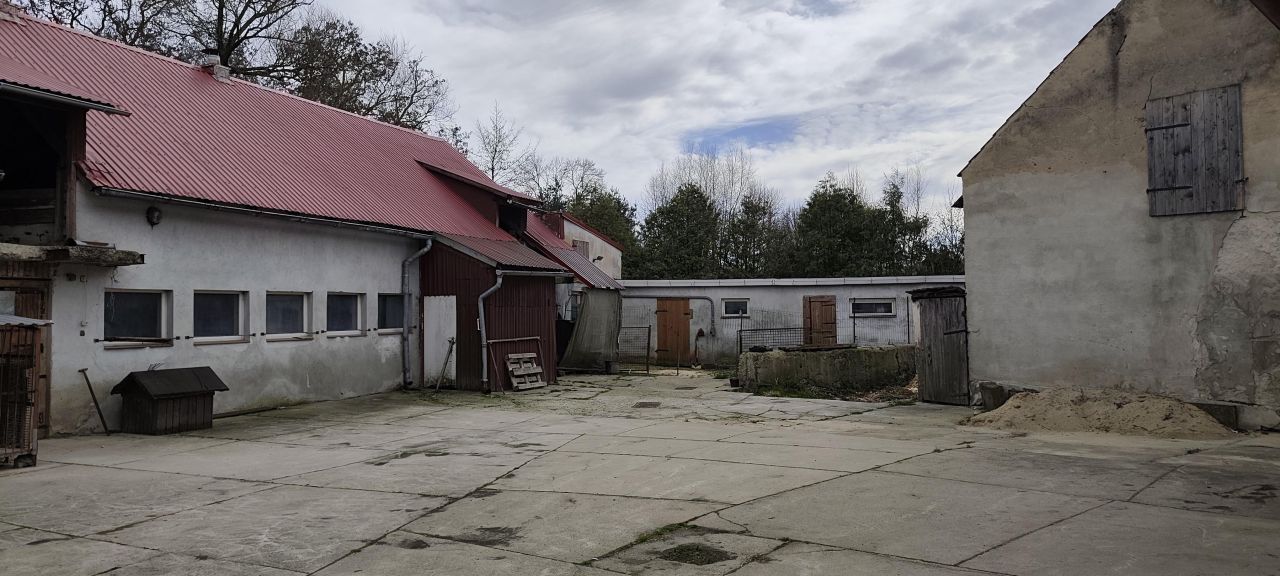 gospodarstwo, 8 pokoi Prężynka. Zdjęcie 6