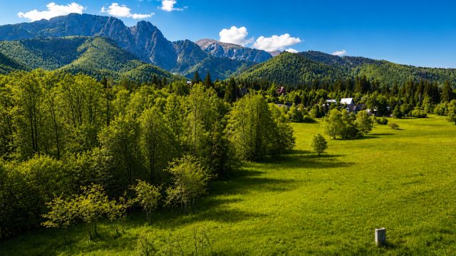 Działka rolna Zakopane, ul. Droga na Wierch. Zdjęcie 1