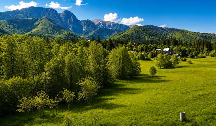 Działka rolna Zakopane, ul. Droga na Wierch