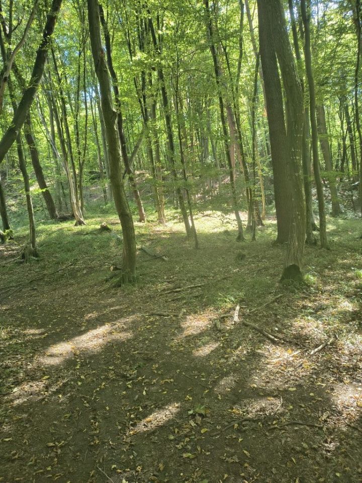 Działka leśna Hadle Szklarskie. Zdjęcie 3