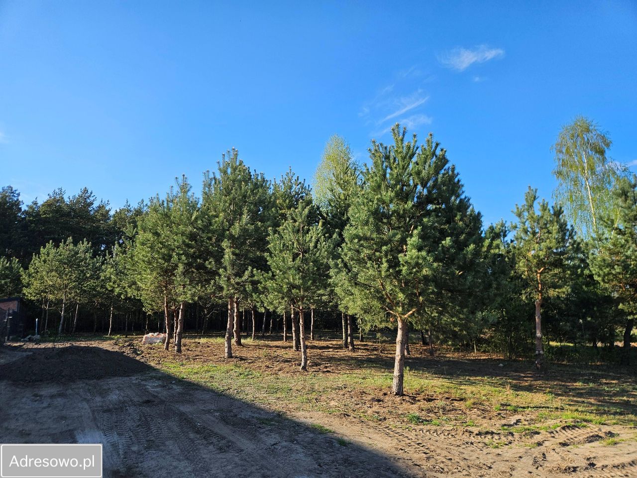 Działka budowlana Tomaszów Mazowiecki Podoba, ul. Torowa. Zdjęcie 9