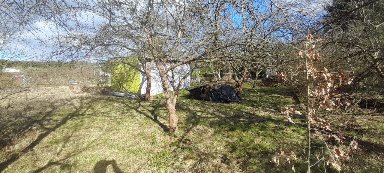 Działka rod Zielona Góra Ochla, ul. Ochla-Kożuchowska. Zdjęcie 10