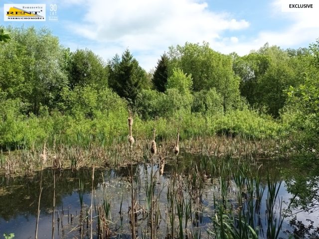 dom letniskowy, 5 pokoi Binowo. Zdjęcie 30