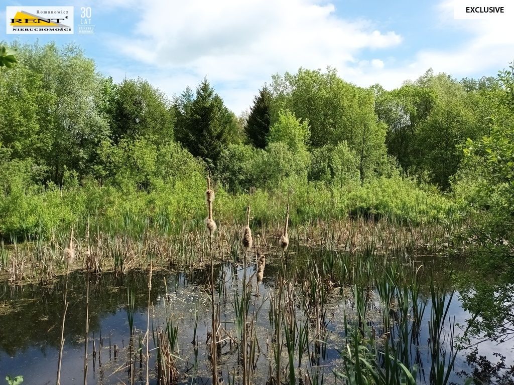 dom letniskowy, 5 pokoi Binowo. Zdjęcie 30