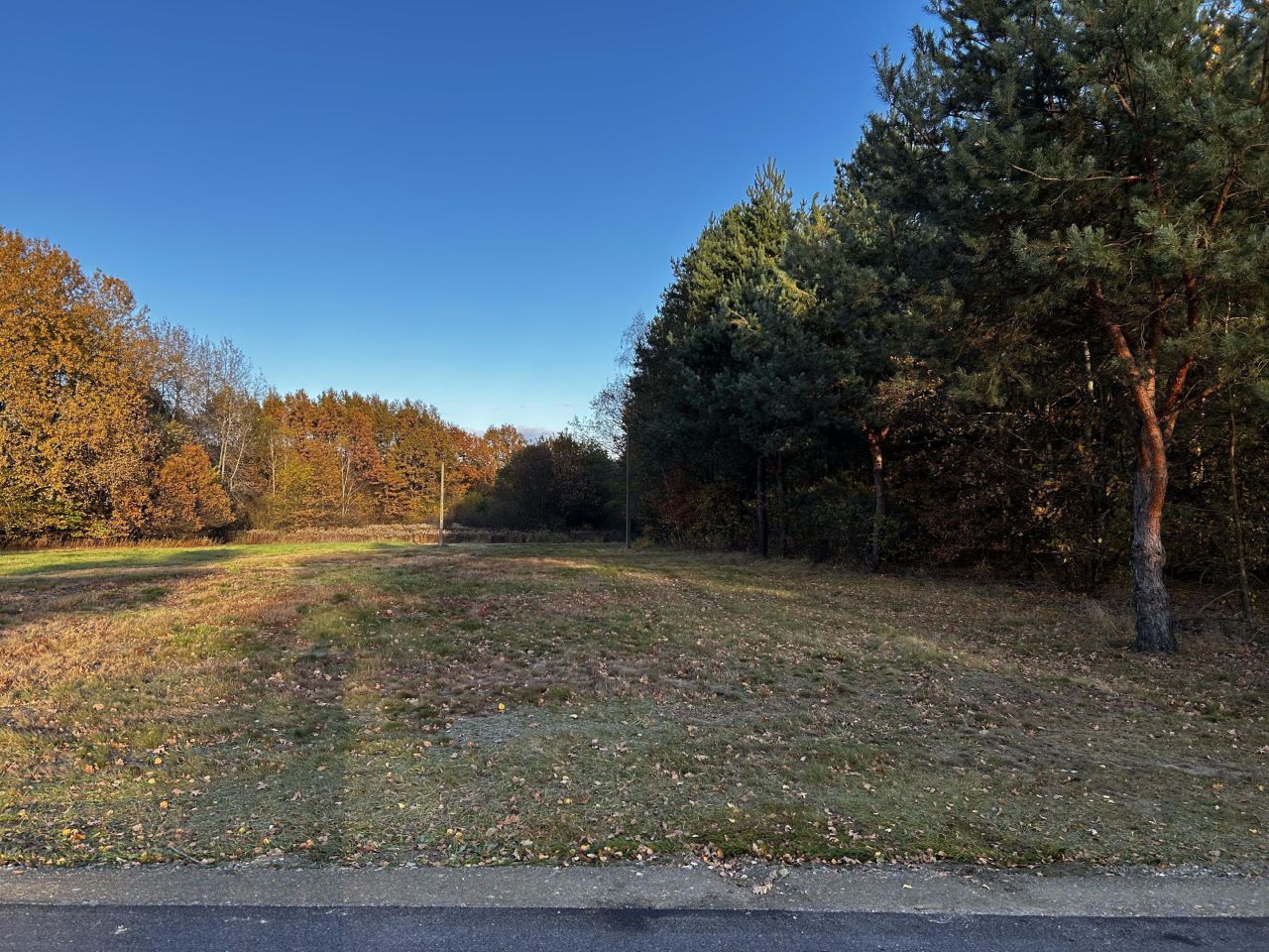 Działka budowlana Rydzów