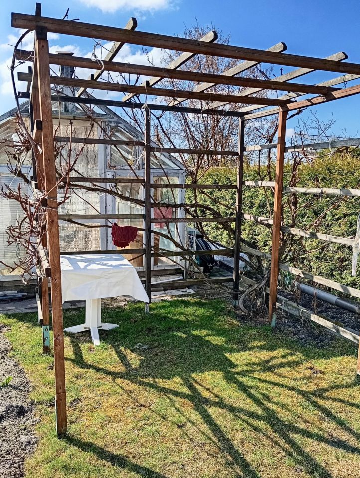 Działka rod Skierniewice, ul. Miedniewicka. Zdjęcie 5