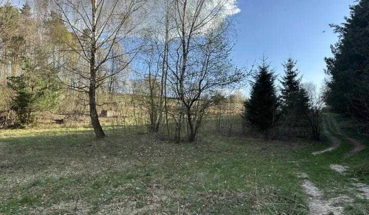 Działka rekreacyjna Stara Huta Lasowe, Lasowe