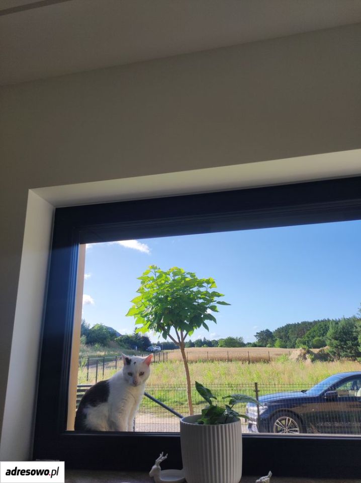 dom wolnostojący, 4 pokoje Sowinki, ul. Rumiankowa. Zdjęcie 19