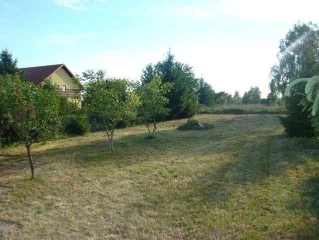Działka rolno-budowlana Lubiec. Zdjęcie 1