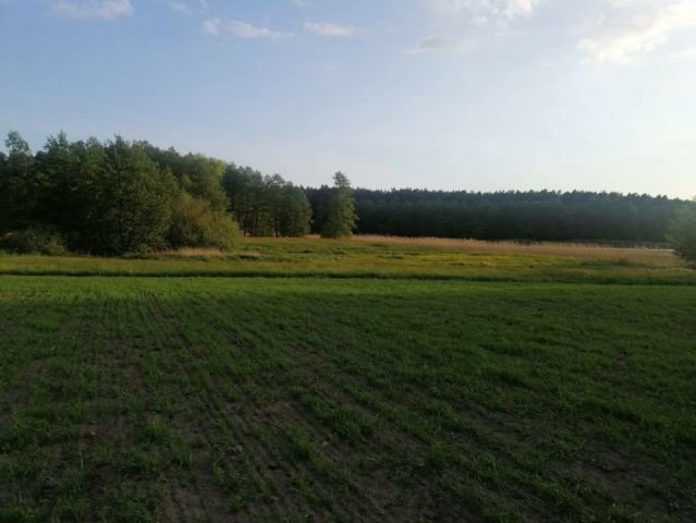 Działka rolna Kamieniec. Zdjęcie 1