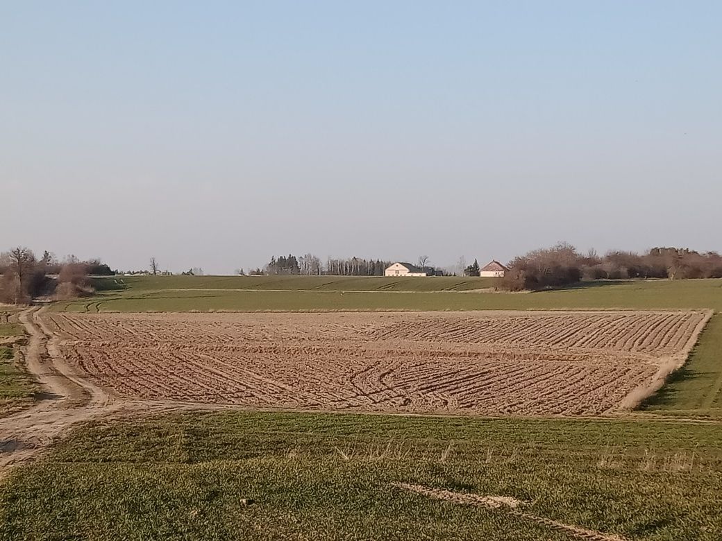 Działka budowlana Pułtusk, ul. Przemiarowska. Zdjęcie 7