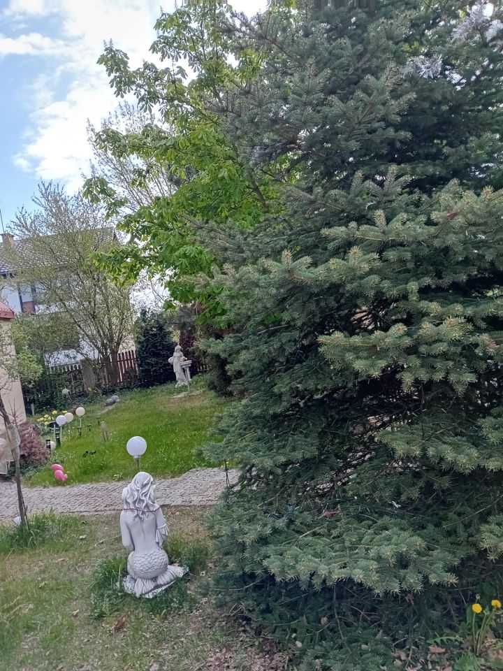 dom wolnostojący, 5 pokoi Ciechocinek, ul. Marii Konopnickiej. Zdjęcie 4