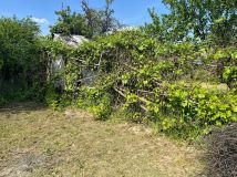 Działka rod Dębica, ul. Mościckiego. Zdjęcie 4