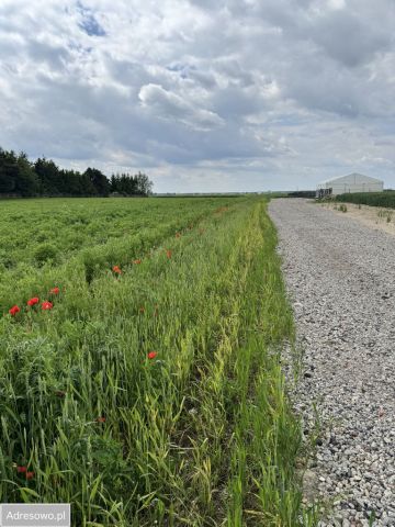 Działka inwestycyjna Brzostek. Zdjęcie 1