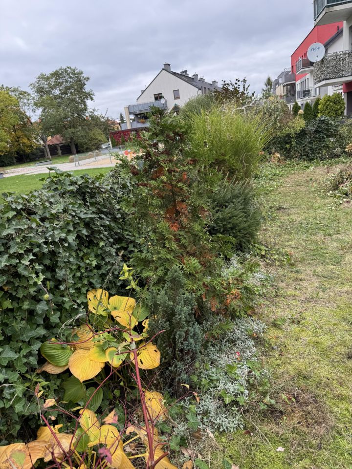 Mieszkanie 3-pokojowe Bielany Wrocławskie, ul. Ogrodowa. Zdjęcie 27