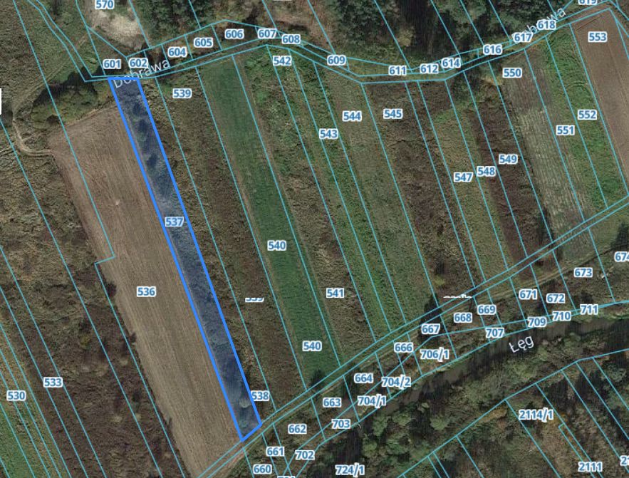 Działka rolna Bojanów. Zdjęcie 2