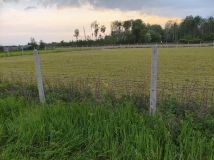 Działka siedliskowa Witoldów. Zdjęcie 1