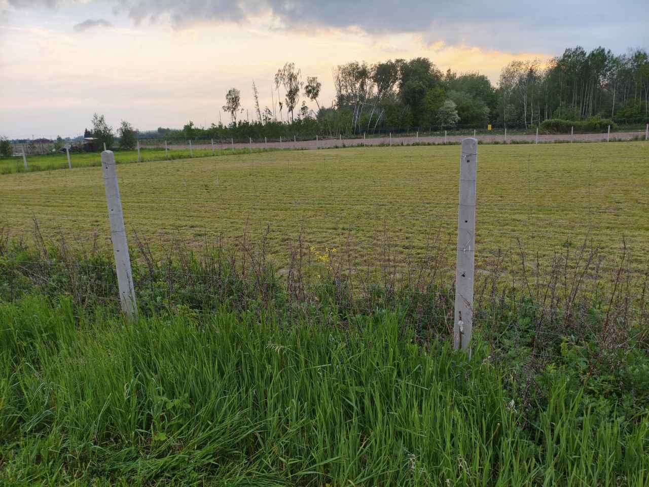Działka siedliskowa Witoldów. Zdjęcie 2