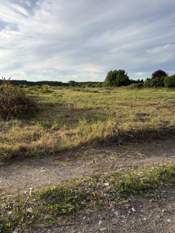 Działka inwestycyjna Szczecin Wielgowo, ul. Rumiankowa. Zdjęcie 1