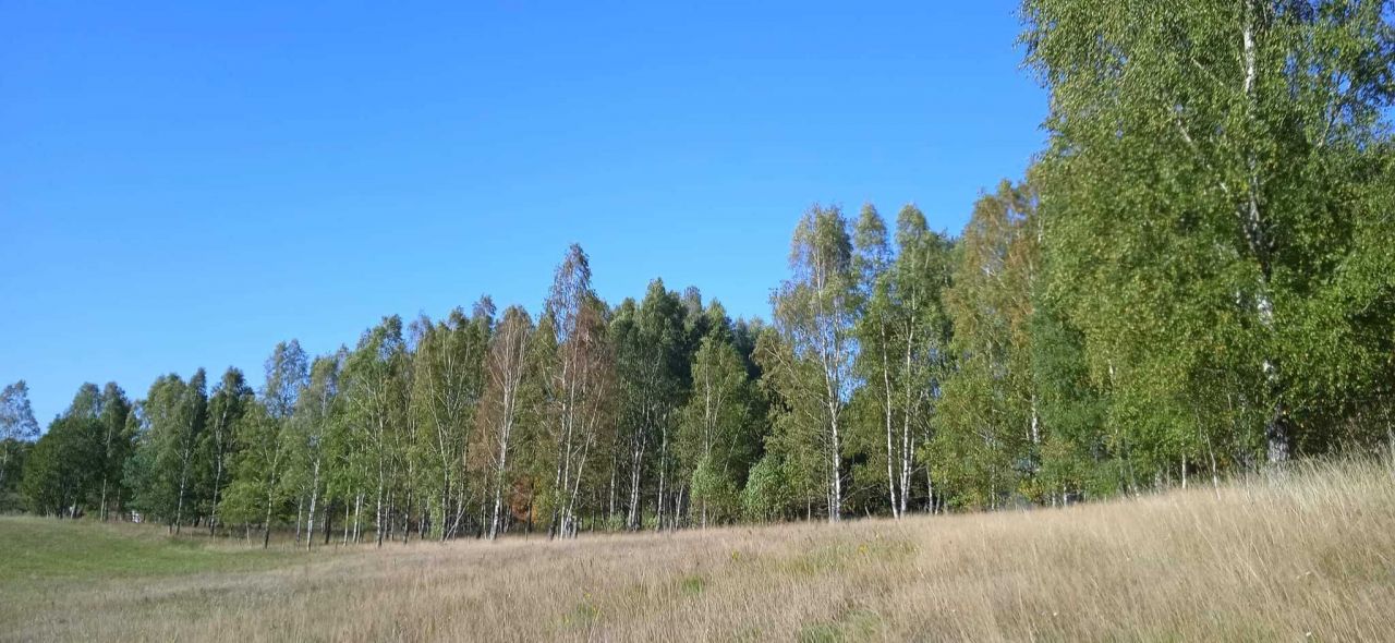 Działka Cybulin, bez pośrednika 5727 m2 570 270 zł