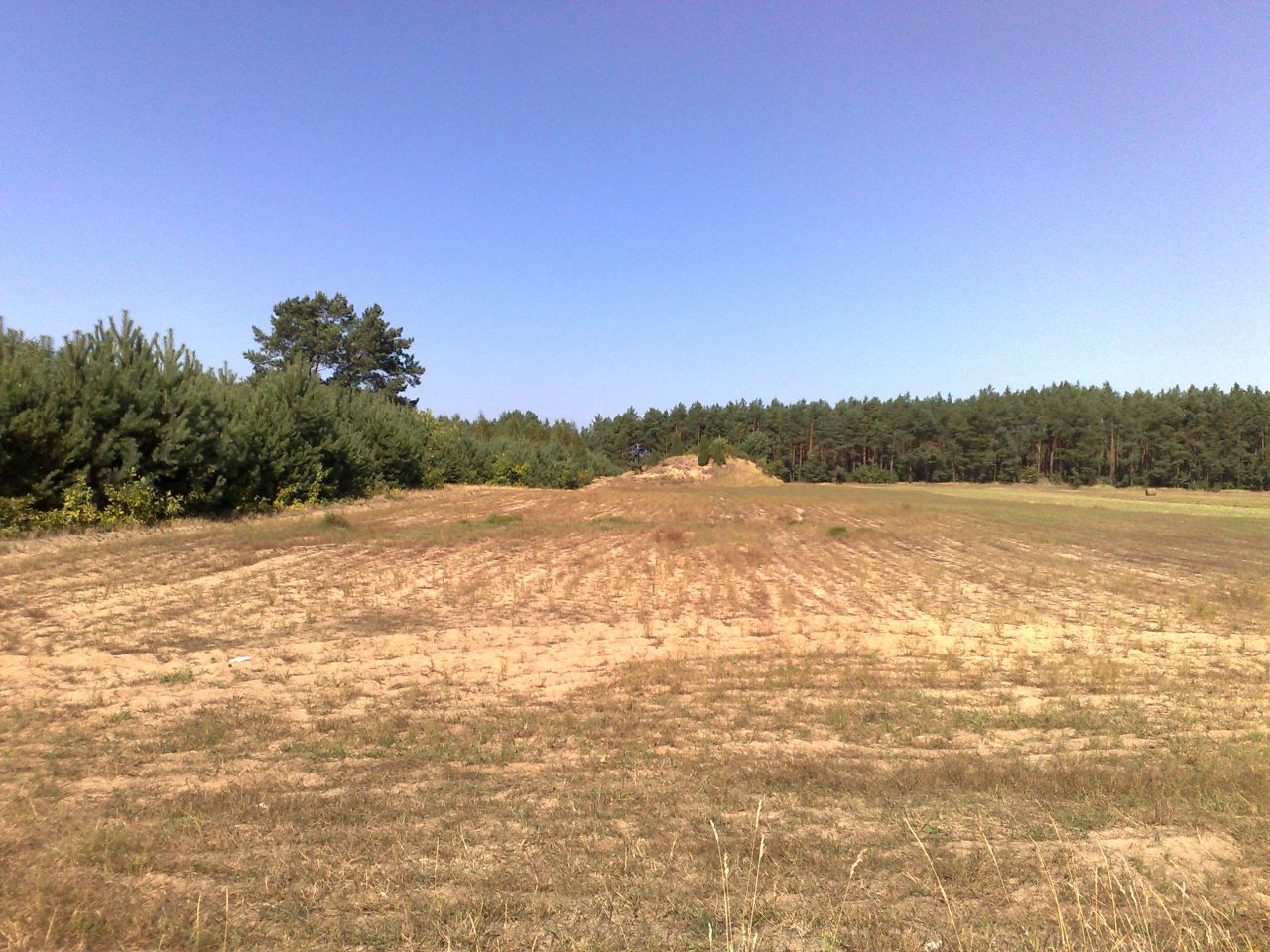 Działka rolna Wólka-Wojciechówek Wojciechowo. Zdjęcie 3