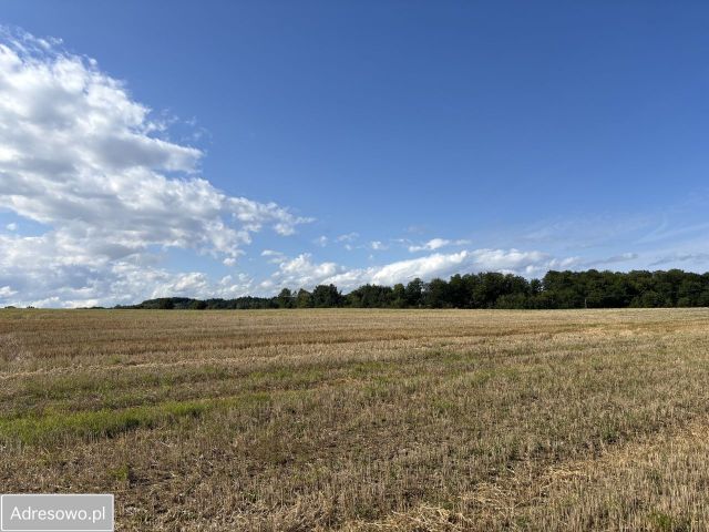 Działka budowlana Klonowo Dolne. Zdjęcie 1