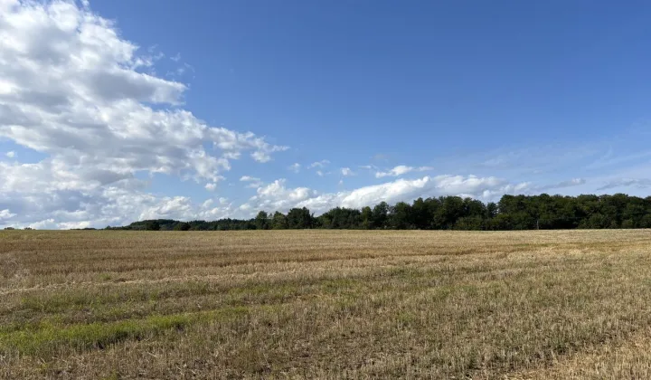 Działka budowlana Klonowo Dolne