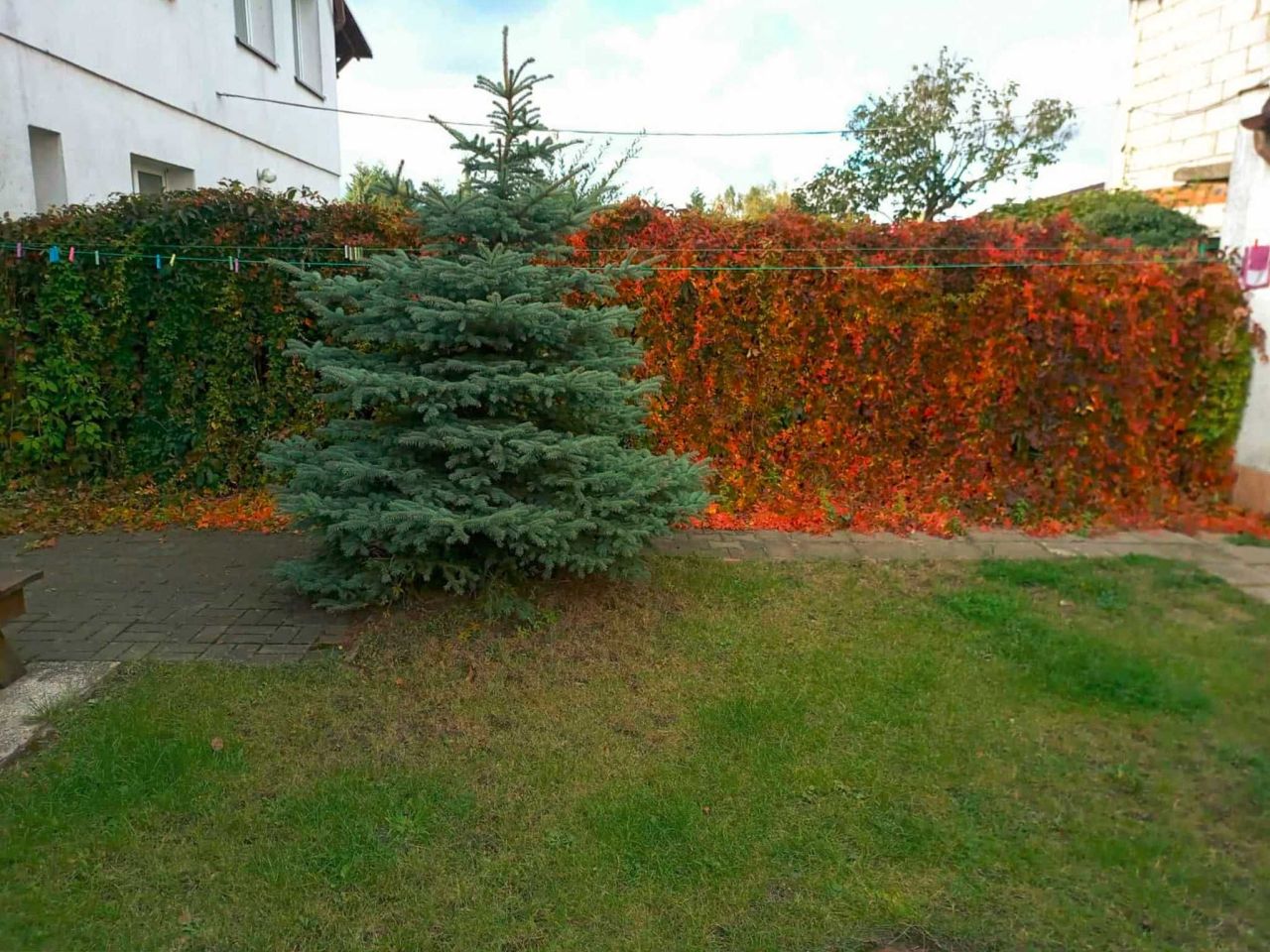 Mieszkanie 1-pokojowe Parkowo. Zdjęcie 6