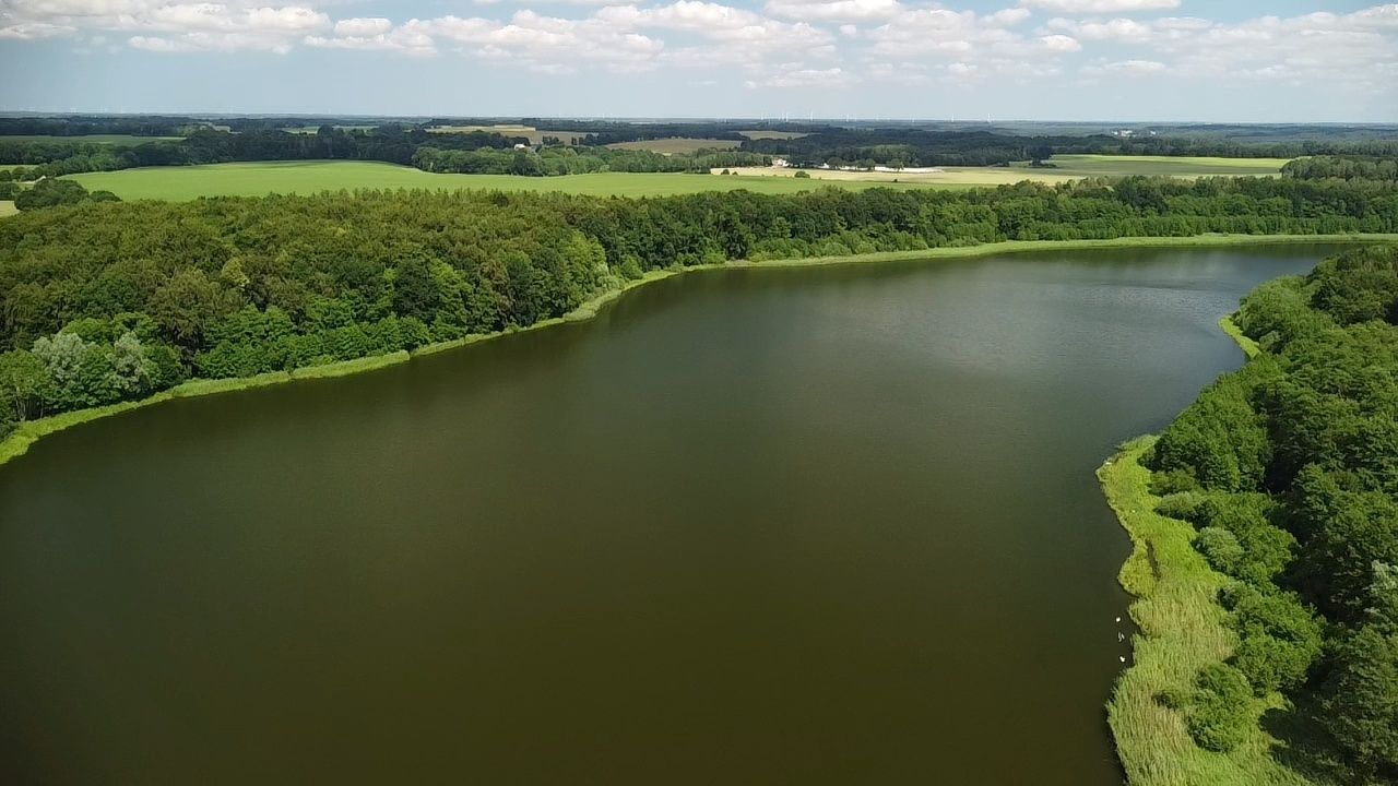 Działka siedliskowa Ostrowiec. Zdjęcie 3