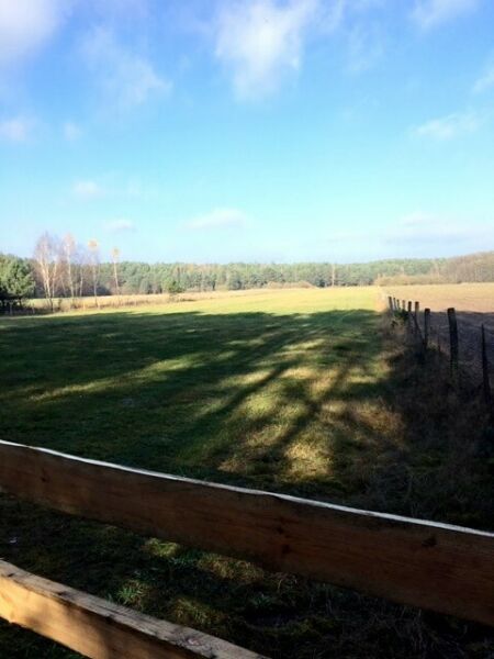 Działka rolna Leniuszki. Zdjęcie 5