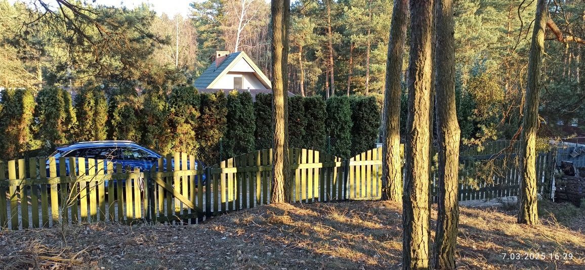 Działka leśna Swolszewice Duże, ul. Kryształowa. Zdjęcie 4