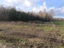 Działka rekreacyjna Lubowidz, ul. Leśna. Zdjęcie 1