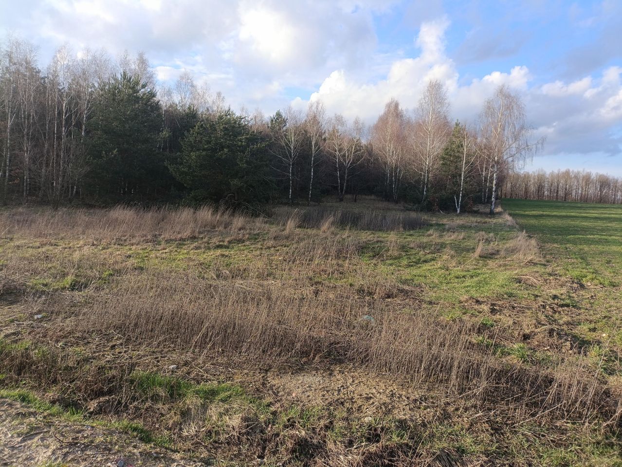 Działka rekreacyjna Lubowidz, ul. Leśna. Zdjęcie 2