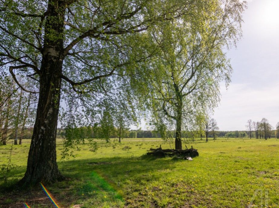 Działka siedliskowa Nowa Pecyna. Zdjęcie 6