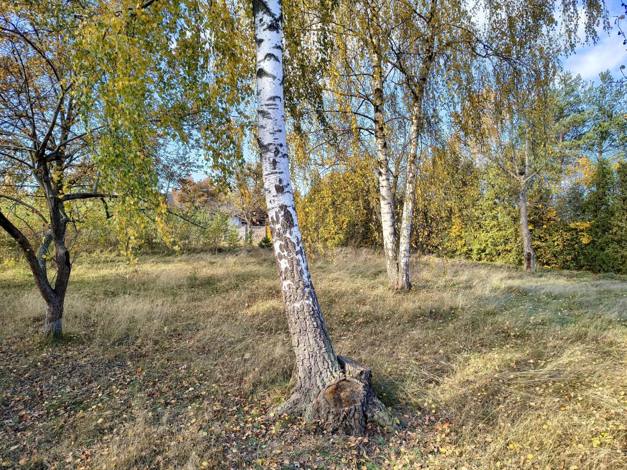 Działka budowlana Żakowice, ul. Piotrkowska. Zdjęcie 6