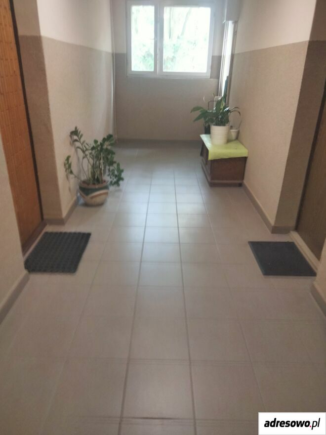 Mieszkanie 3-pokojowe Tychy, ul. Moniuszki. Zdjęcie 3