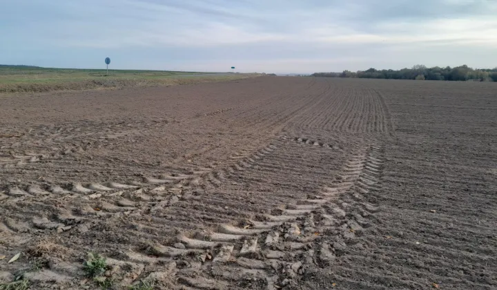 Działka budowlana Czernica