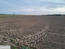 Działka budowlana Czernica