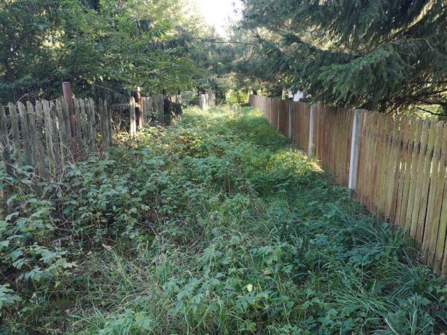 Działka rekreacyjna Szczechy Małe. Zdjęcie 2