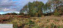 Działka rolna Jasień