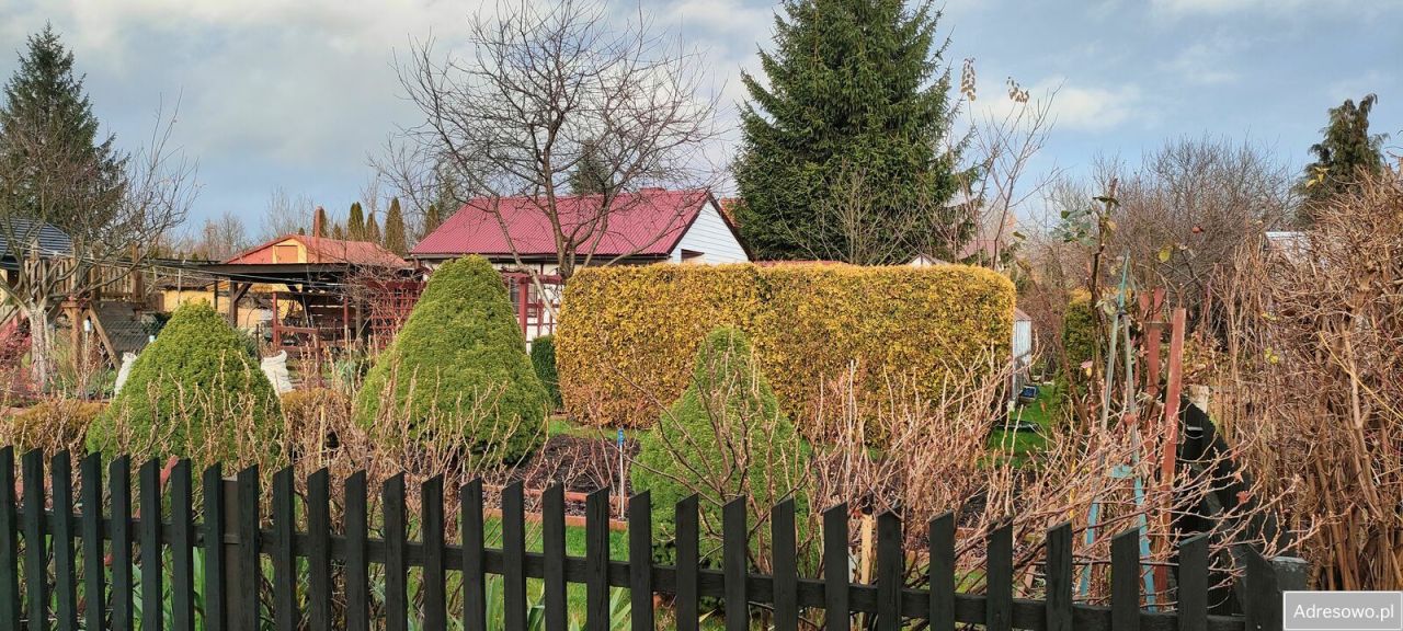 Działka rekreacyjna Skarżysko-Kamienna, ul. Piękna. Zdjęcie 3